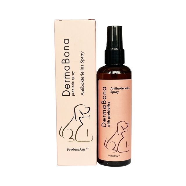 DERMABONA  Antibakterielles Spray mit Probiotika ProbioDay TM  0001 фото 1