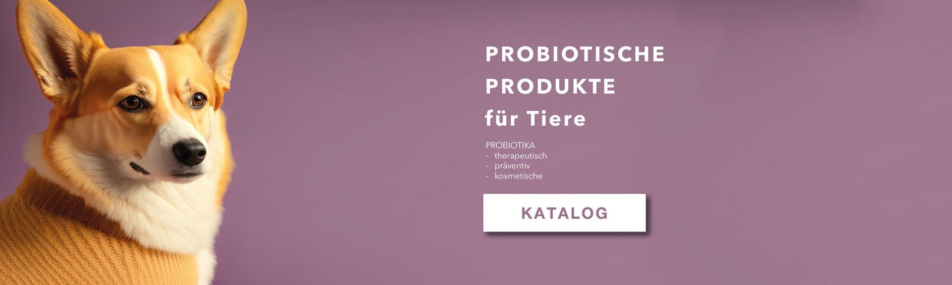 каталог